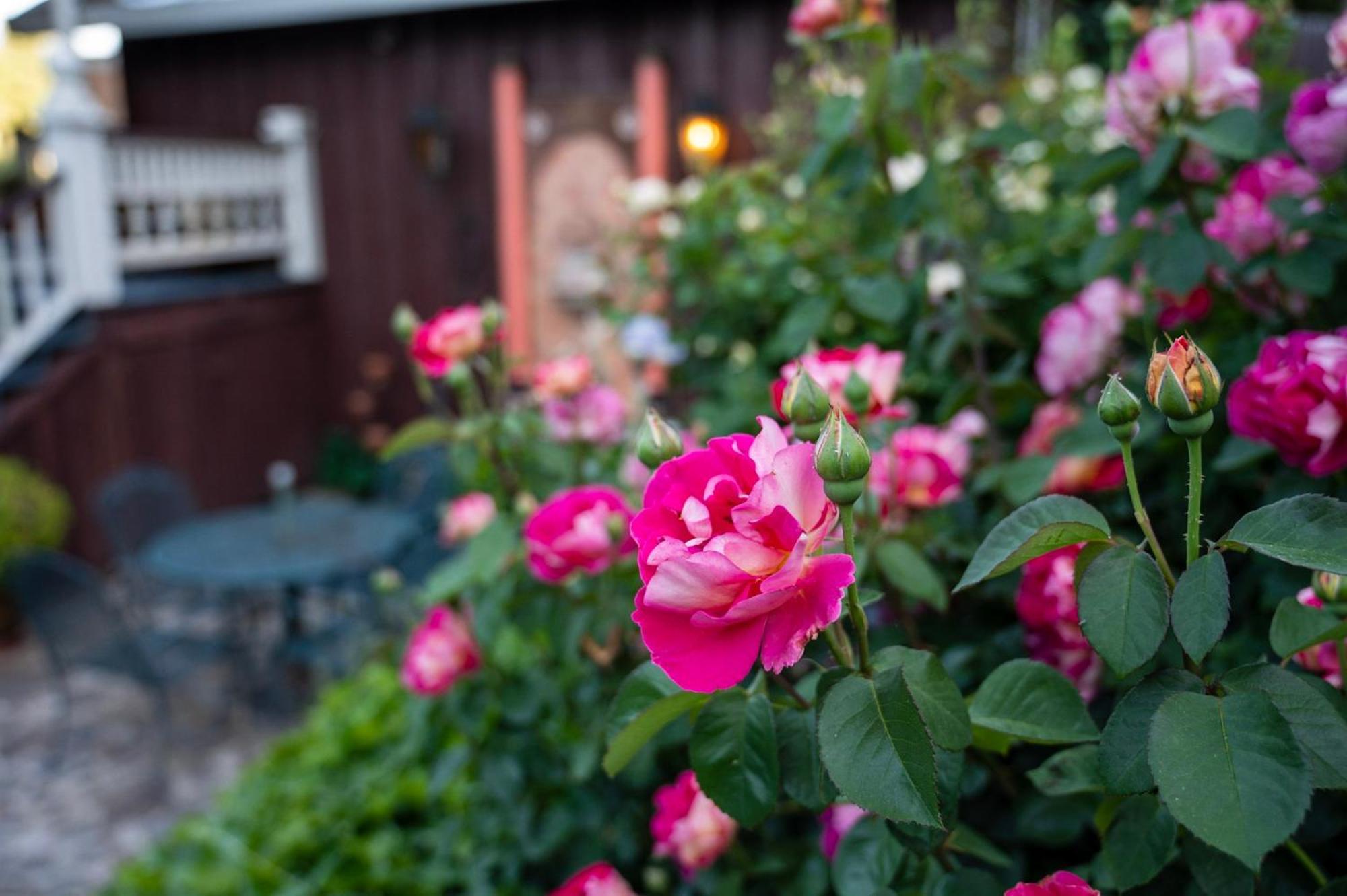 Gunn House Hotel Sonora Eksteriør bilde